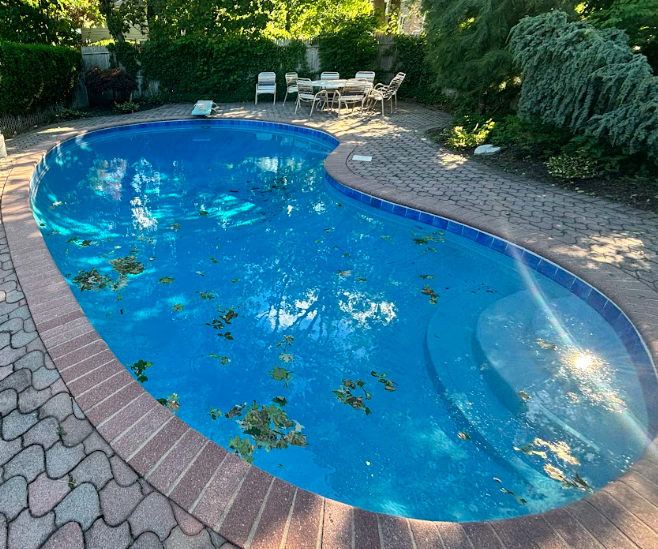 Pool with leaves and debris floating on the surface before cleaning